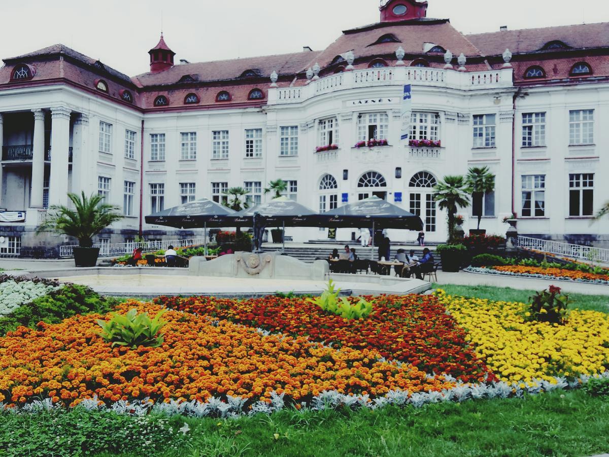 Apartment Alice Center Karlsbad Exterior foto